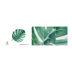 Fototapeta Próbka Premium Canvas - Zielony koncept - Monstera, Liść, Boho - 100x30 cm