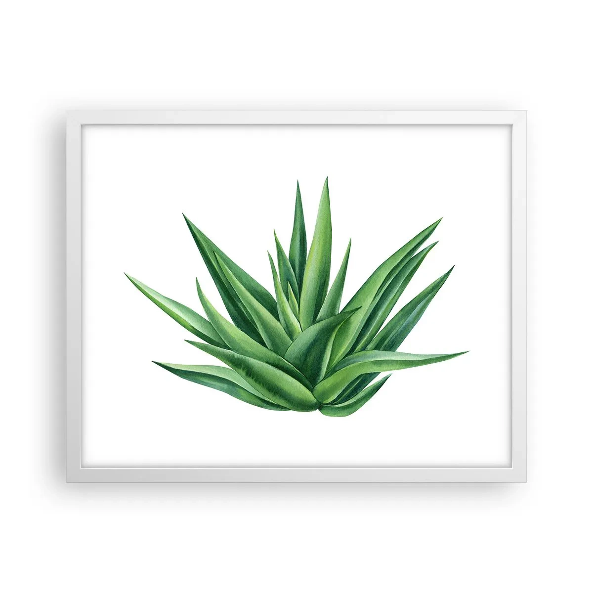 Plakat w białej ramie - Zieleń – siła – życie - 50x40 cm