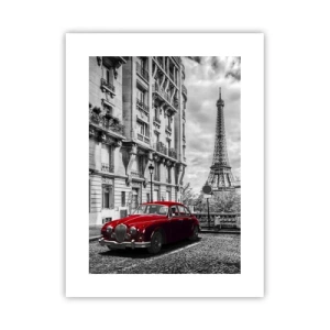 Plakat - Drapieżnik w mieście - 30x40 cm