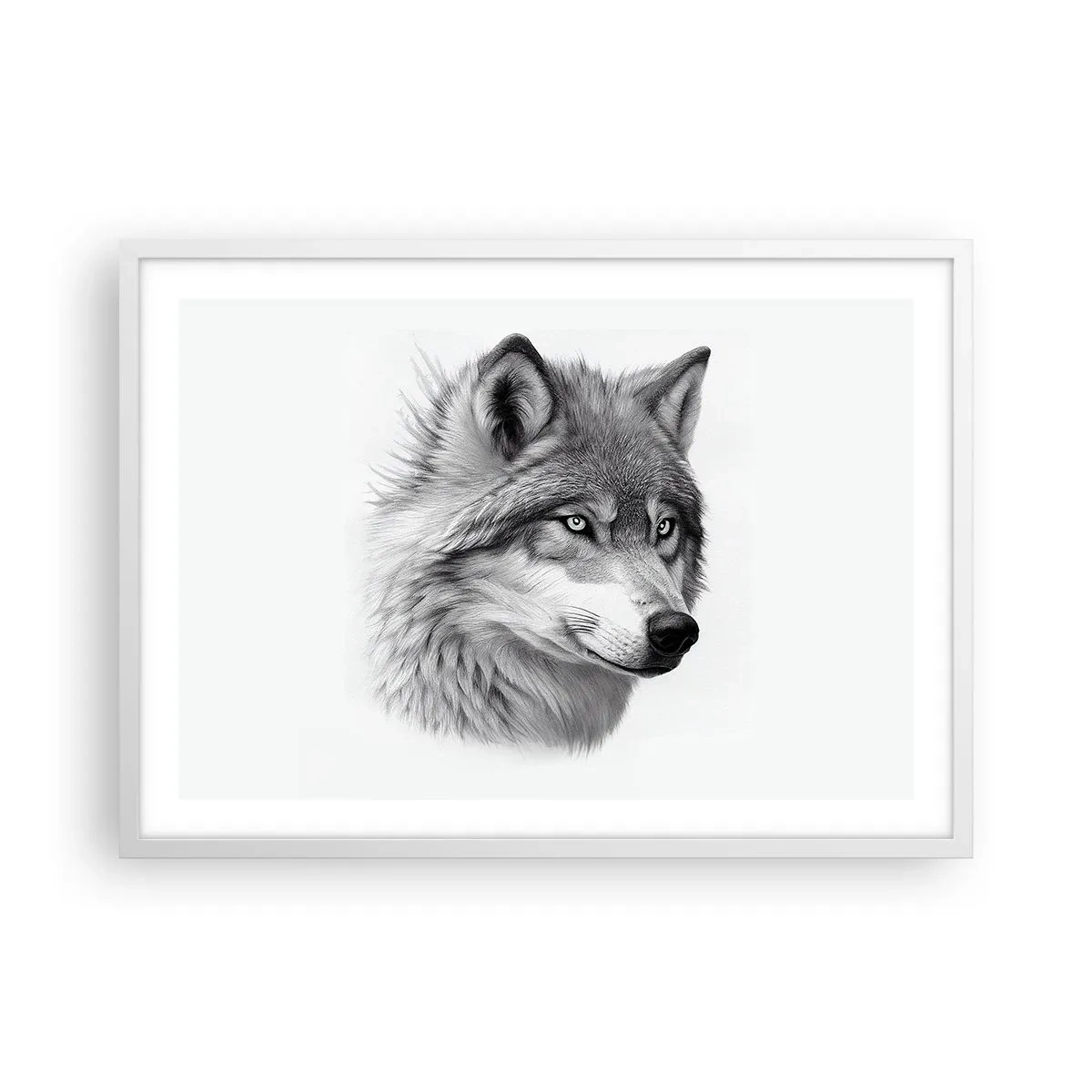 Plakat w białej ramie - Alfa – bez wątpienia - 70x50 cm