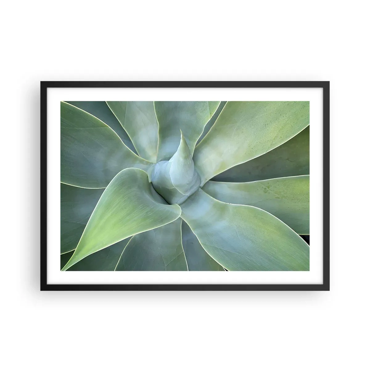 Plakat w czarnej ramie - Subtelne liście agawy w odcieniach zieleni - 70x50cm - Narodziny zieleni - Nowoczesna dekoracja ścienna do salonu i sypialni ARTTOR