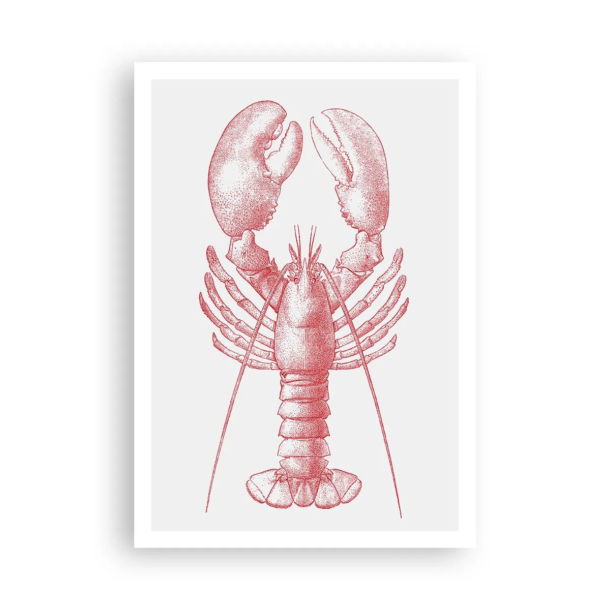 Plakat - Homar godny Homera - 70x100 cm