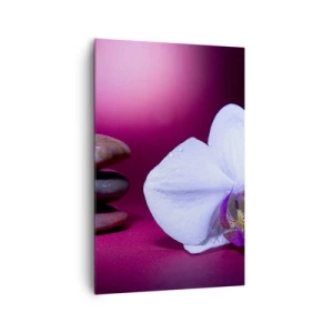 Obraz na płótnie - Biała orchidea i kamienie na różowym tle - 80x120cm - Studium świeżości w fiolecie - Nowoczesna dekoracja ścienna do salonu i sypialni ARTTOR