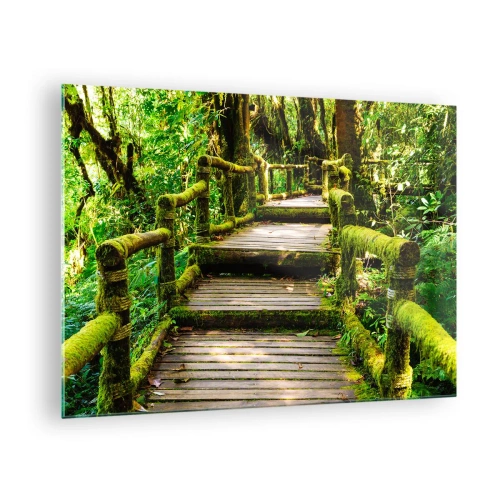 Obraz na szkle - Drewniana ścieżka w zielonym lesie porośniętym mchem - 70x50cm - Korytarzem zieleni - Nowoczesna dekoracja ścienna do salonu i sypialni ARTTOR