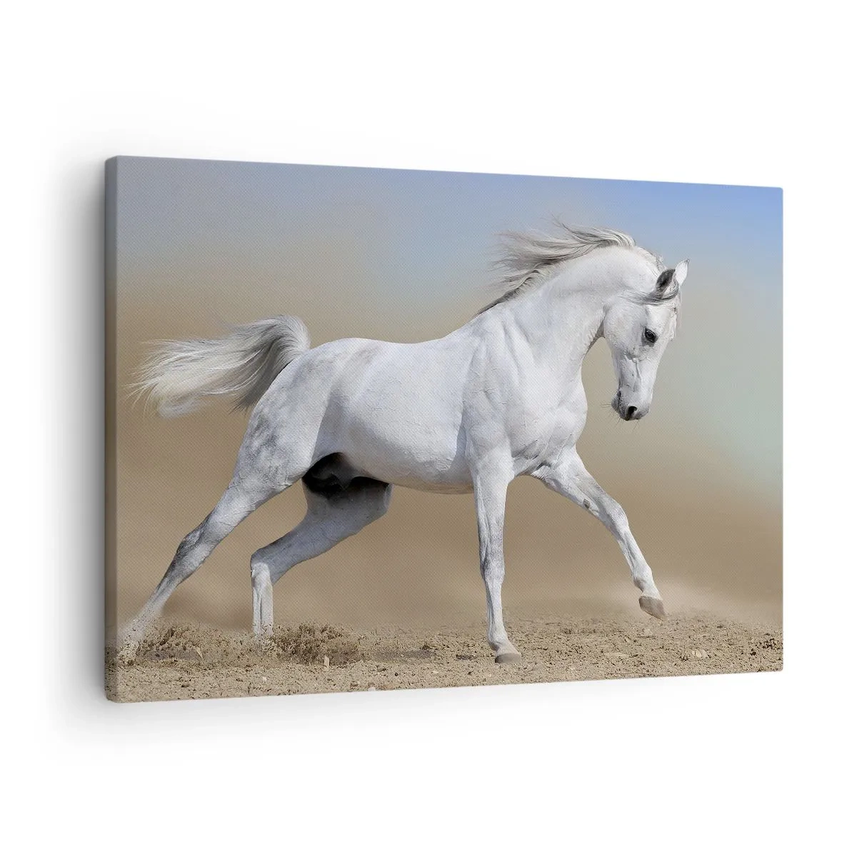 Obraz na płótnie - Biały koń galopujący po pustynnym krajobrazie - 70x50cm - Najpiękniejsza arabska baśń - Nowoczesna dekoracja ścienna do salonu i sypialni ARTTOR