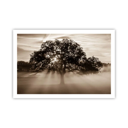 Plakat - Drzewo wiadomości samego dobrego - 91x61 cm