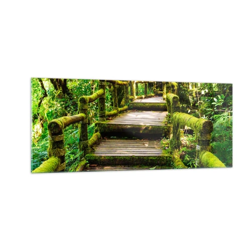 Obraz na szkle - Korytarzem zieleni - 100x40 cm