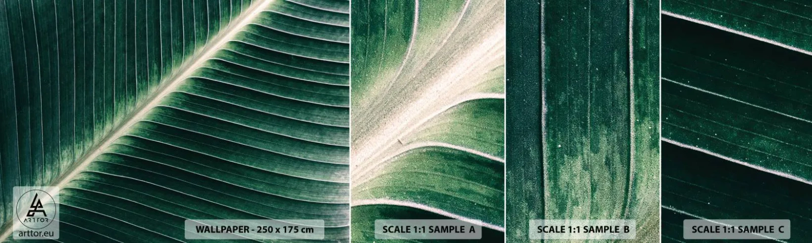 Fototapeta Próbka Standard Eco - Rytm natury - Abstrakcja, Zielony Liść, Grafika - 100x30 cm