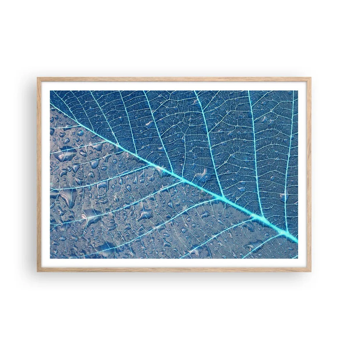 Plakat w ramie jasny dąb - Życie w błękicie - 100x70 cm