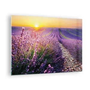 Obraz na szkle - Pole lawendy o wschodzie słońca z kamienistą ścieżką - 70x50cm - Pachnący łan - Nowoczesna dekoracja ścienna do salonu i sypialni ARTTOR