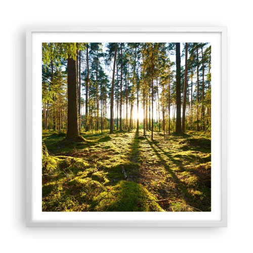 Plakat w białej ramie - …Za siedmioma lasami - 60x60 cm