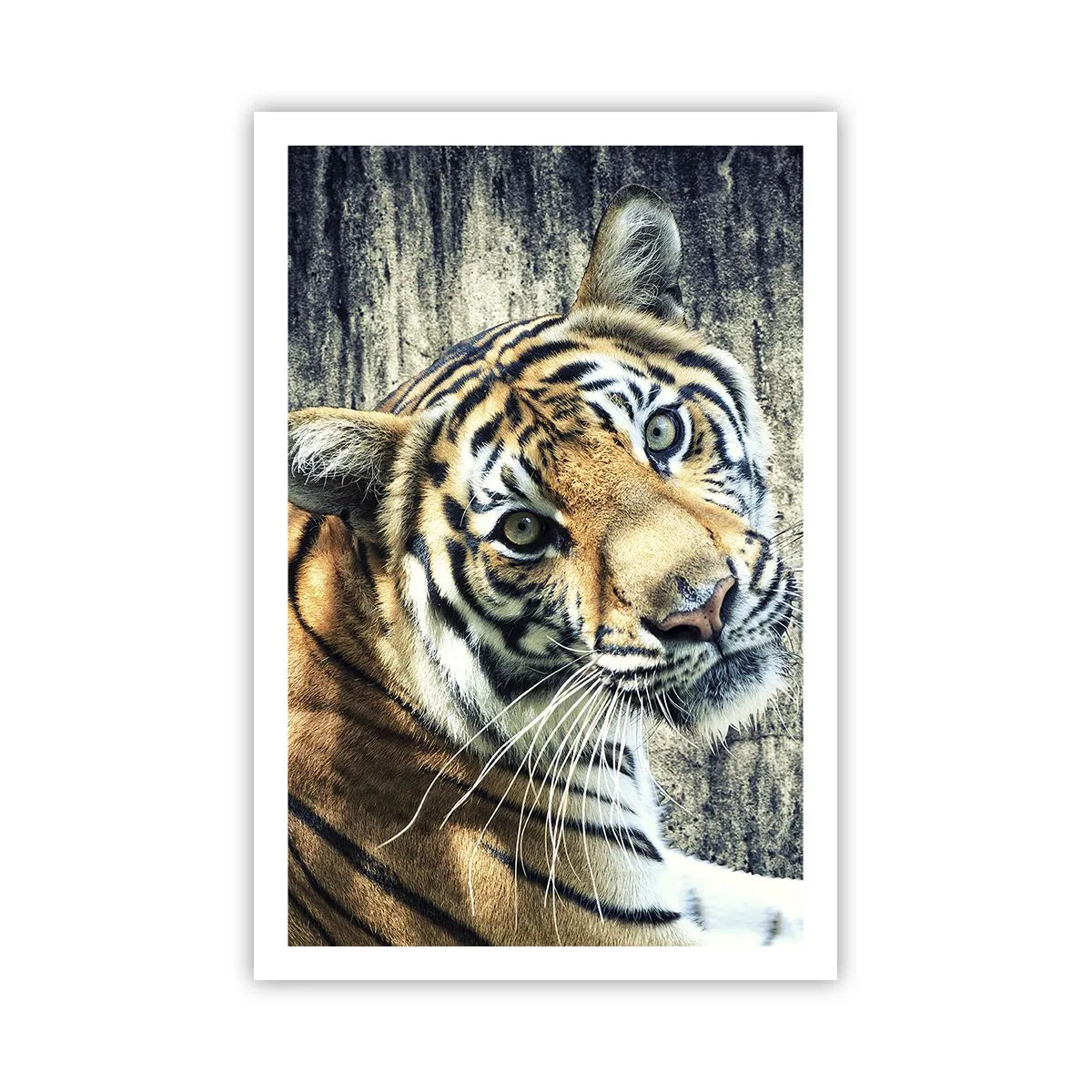 Plakat - Portret w strugach światła - 61x91 cm