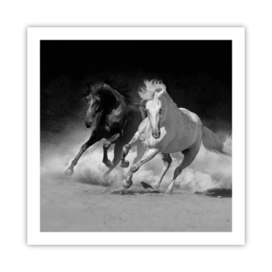 Plakat - Galop wolności - 60x60 cm