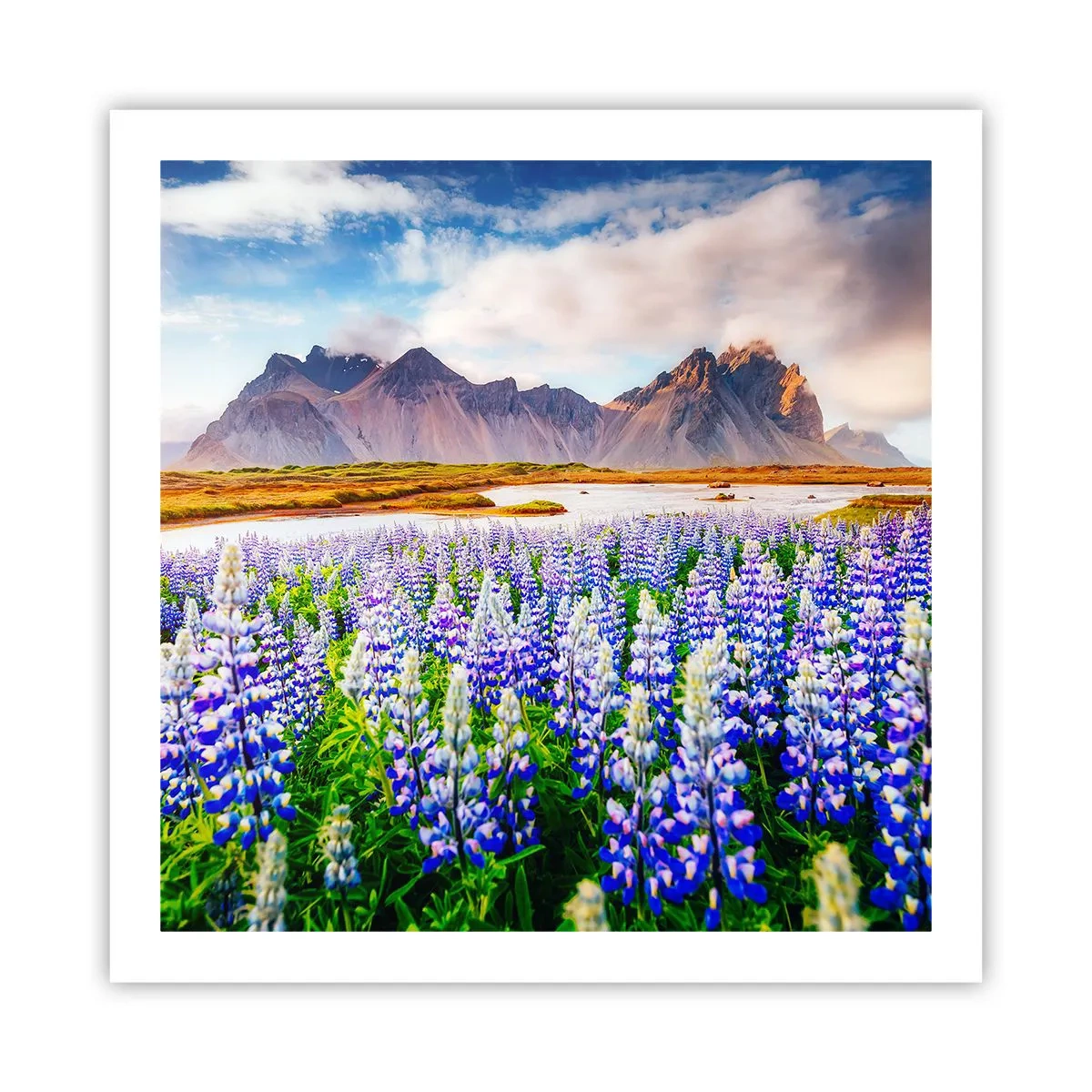 Plakat - Siła i surowość obok łagodności - 60x60 cm