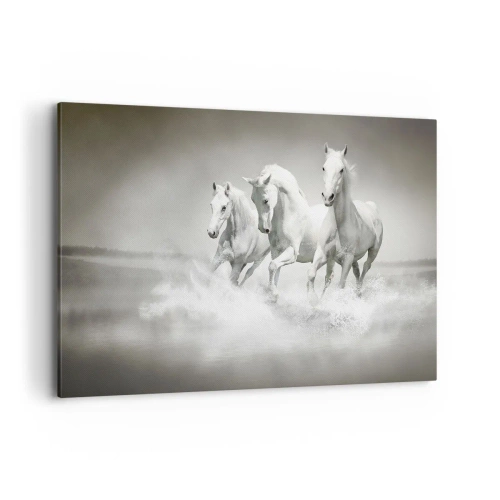 Obraz na płótnie - Trzy białe konie galopujące przez wodę - 120x80cm - Białe szaleństwo - Nowoczesna dekoracja ścienna do salonu, kuchni i sypialni ARTTOR