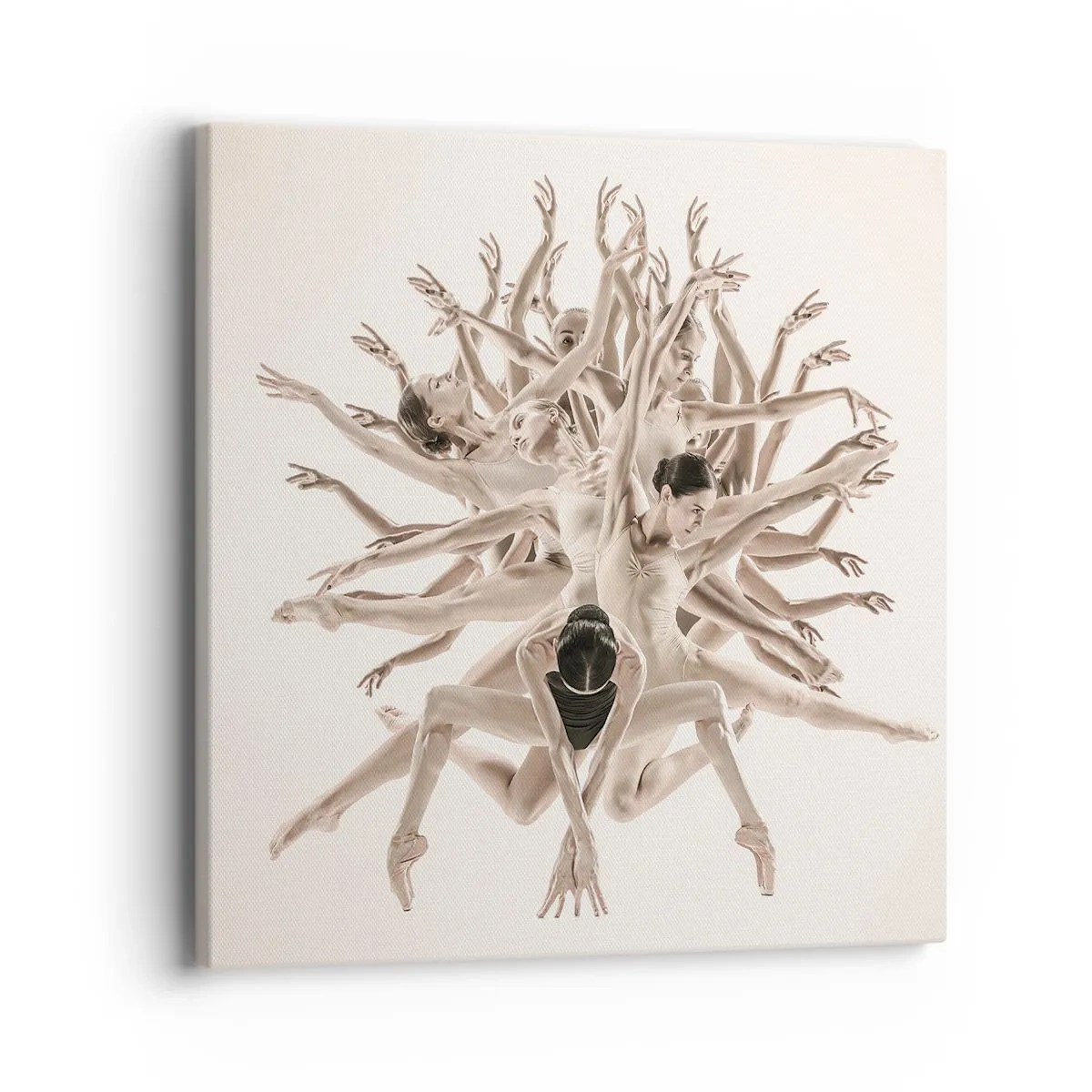 Obraz na płótnie - Rozkwitanie w tańcu - 40x40 cm