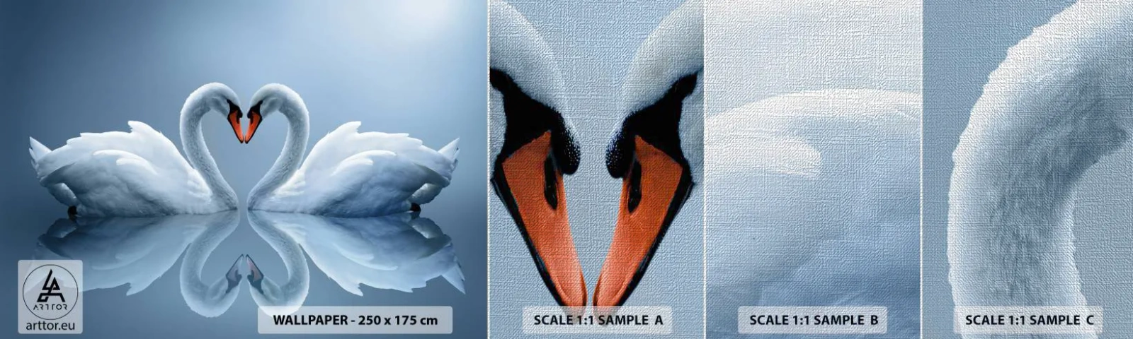 Fototapeta Próbka Premium Canvas - Czas na miłość - Łabędzie, Miłość, Serce - 100x30 cm