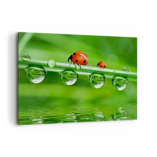 Obraz na płótnie - Biedronki na źdźble trawy z kroplami rosy w naturalnym otoczeniu - 120x80cm - W drodze całe lato - Nowoczesna dekoracja ścienna do salonu, kuchni i sypialni ARTTOR