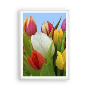 Plakat w białej ramie - Kwiatowa tęcza w kroplach rosy - 70x100 cm