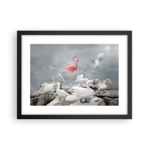 Plakat w czarnej ramie - Skąd się tu wziąłem? - 40x30 cm