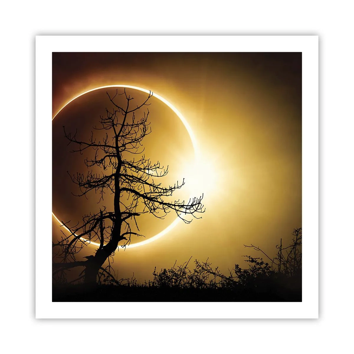 Plakat - Całkowite zaćmienie - 60x60 cm