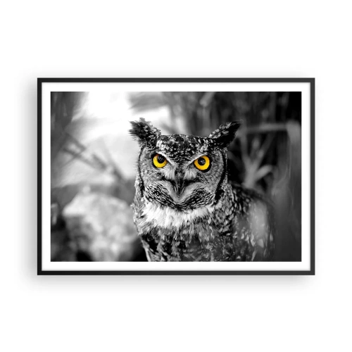 Plakat w czarnej ramie - Sowa w czarno-białym ujęciu z żółtymi oczami - 100x70cm - Nic się nie ukryje - Nowoczesna dekoracja ścienna do salonu i sypialni ARTTOR