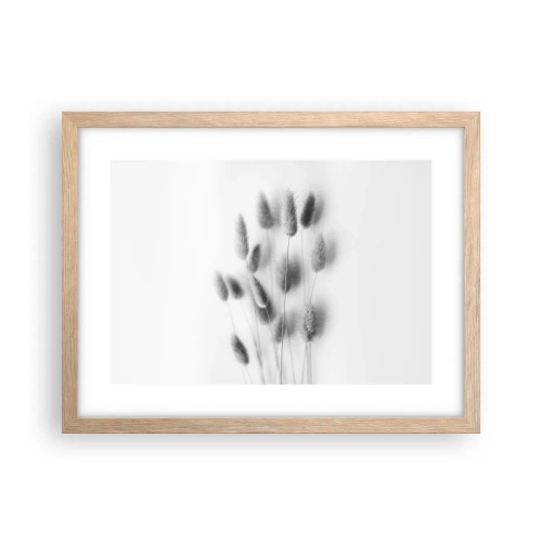 Plakat w ramie jasny dąb - Jej puszystość trawa - 40x30 cm