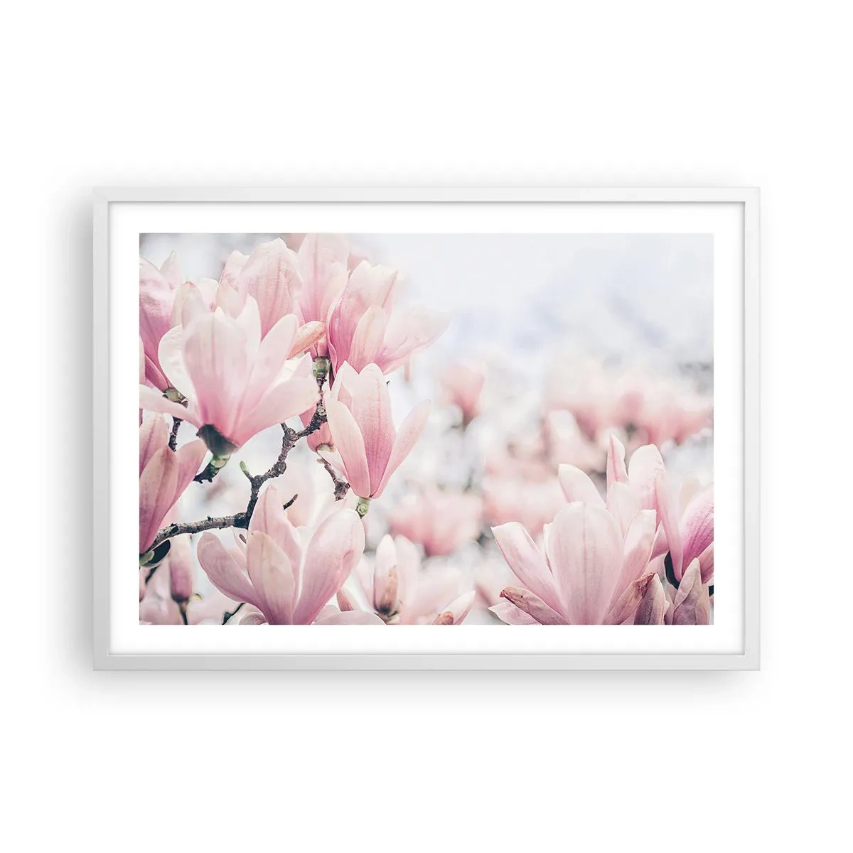 Plakat w białej ramie - Ideał subtelności - 70x50 cm