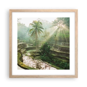 Plakat w ramie jasny dąb - Dorastać w słońcu - 40x40 cm