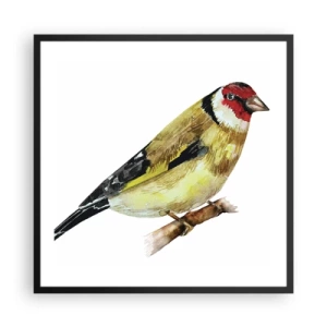 Plakat w czarnej ramie - Ptasi portret - 60x60 cm