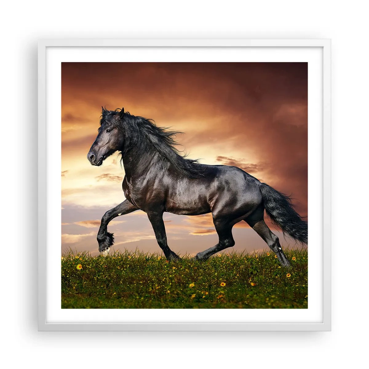 Plakat w białej ramie - Czarny książę - 60x60 cm