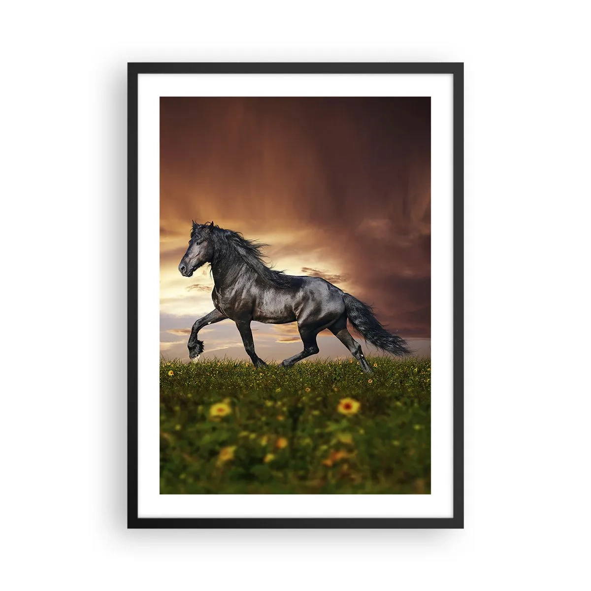 Plakat w czarnej ramie - Czarny koń galopujący po łące w świetle zachodzącego słońca - 50x70cm - Czarny książę - Nowoczesna dekoracja ścienna do salonu i sypialni ARTTOR