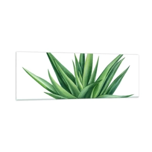 Obraz na szkle - Zieleń – siła – życie - 90x30 cm