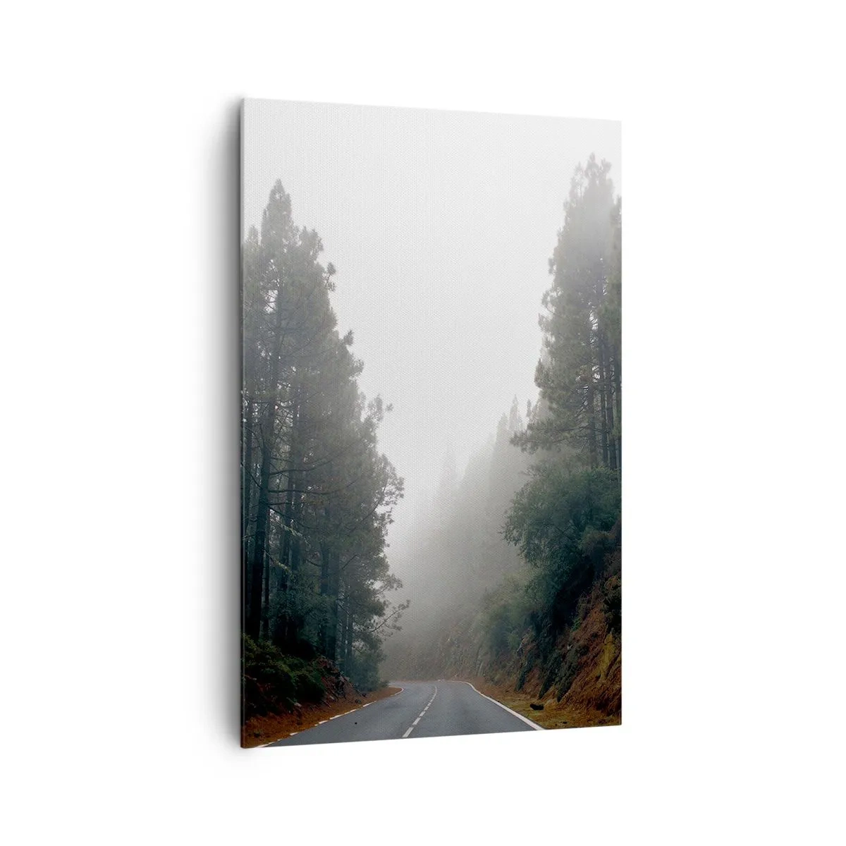 Obraz na płótnie - Droga prowadząca przez mglisty las sosnowy - 80x120cm - Opowieść magicznego lasu - Nowoczesna dekoracja ścienna do salonu i sypialni ARTTOR
