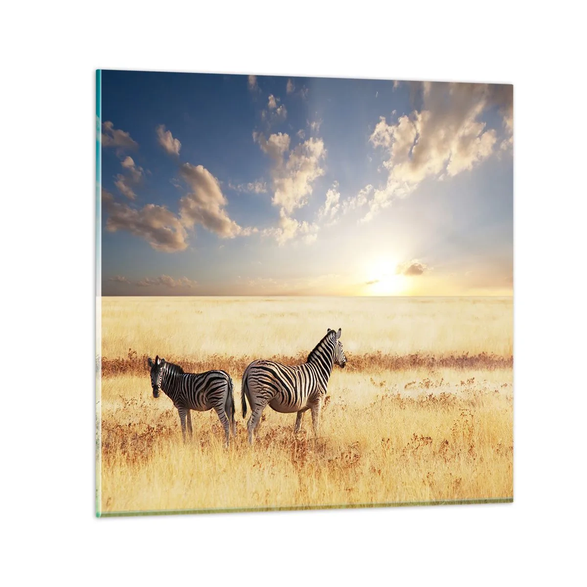 Obraz na szkle - Idź stąd, nie mąć spokoju - 60x60 cm