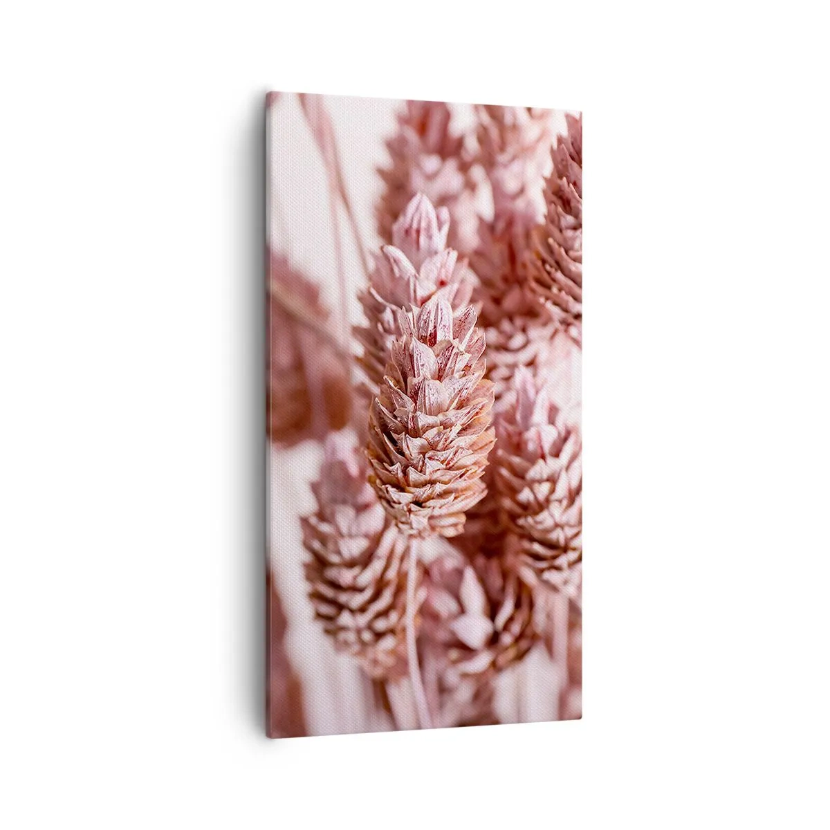 Obraz na płótnie - Z pozoru niepozorne - 55x100 cm