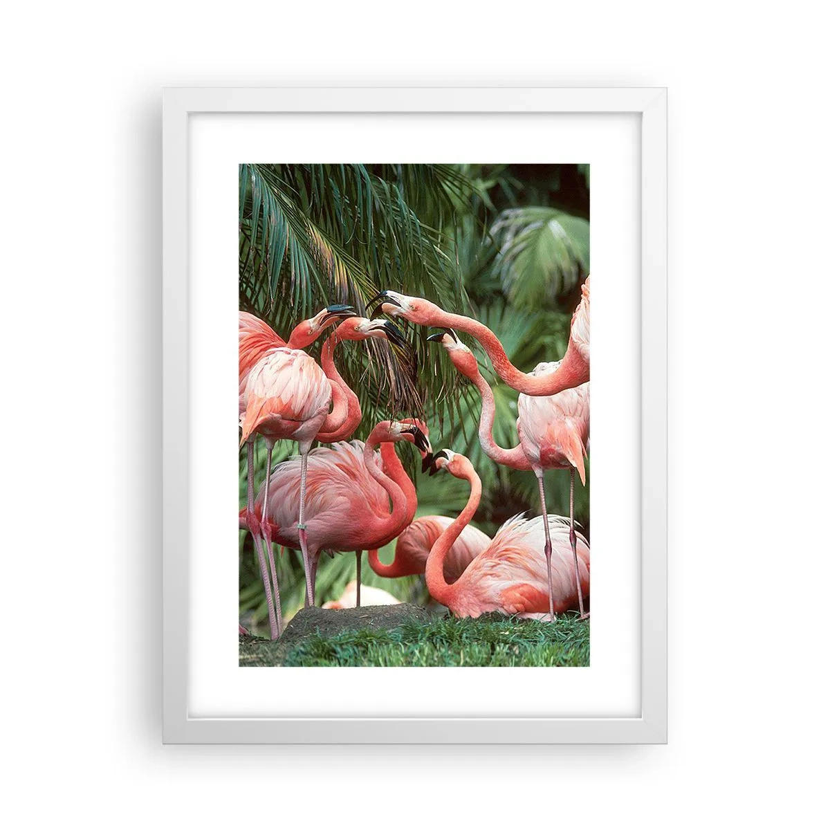 Plakat w białej ramie - Popołudniowe ploteczki - 30x40 cm