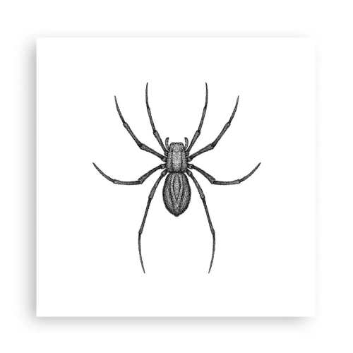 Plakat - Niepokojąca precyzja - 30x30 cm