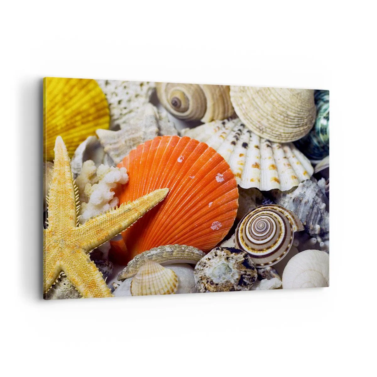 Obraz na płótnie - Muszle i rozgwiazda w kompozycji morskiej - 100x70cm - Skarby oceanu - Nowoczesna dekoracja ścienna do salonu, kuchni i sypialni ARTTOR