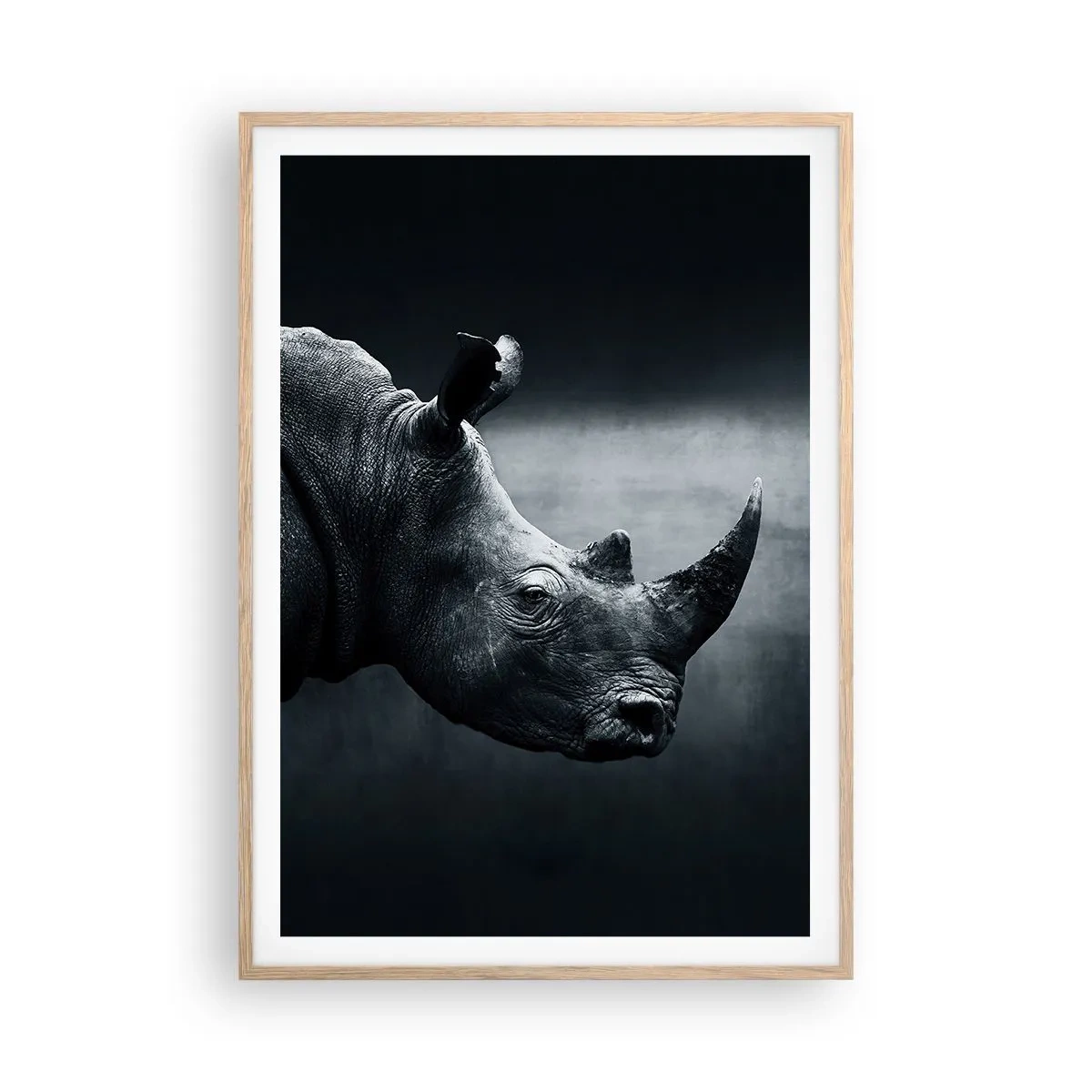 Plakat w ramie jasny dąb - Prawy profil - 70x100 cm