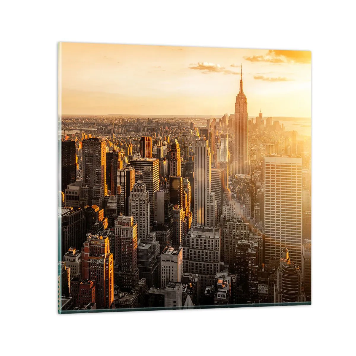 Obraz na szkle - Rosnąc w słońcu - 40x40 cm