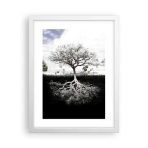 Plakat w białej ramie - Odkrycie natury świata - 30x40 cm