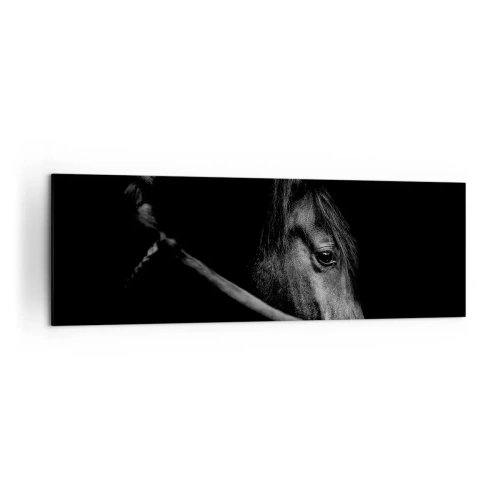Obraz na płótnie - Czarno-biały portret konia w subtelnej grze światła i cienia na ciemnym tle - 160x50cm - Czarny książę - Nowoczesna dekoracja ścienna do salonu i sypialni ARTTOR