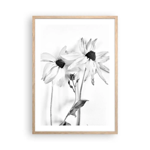 Plakat w ramie jasny dąb - Nikt nie chce być sam - 50x70 cm