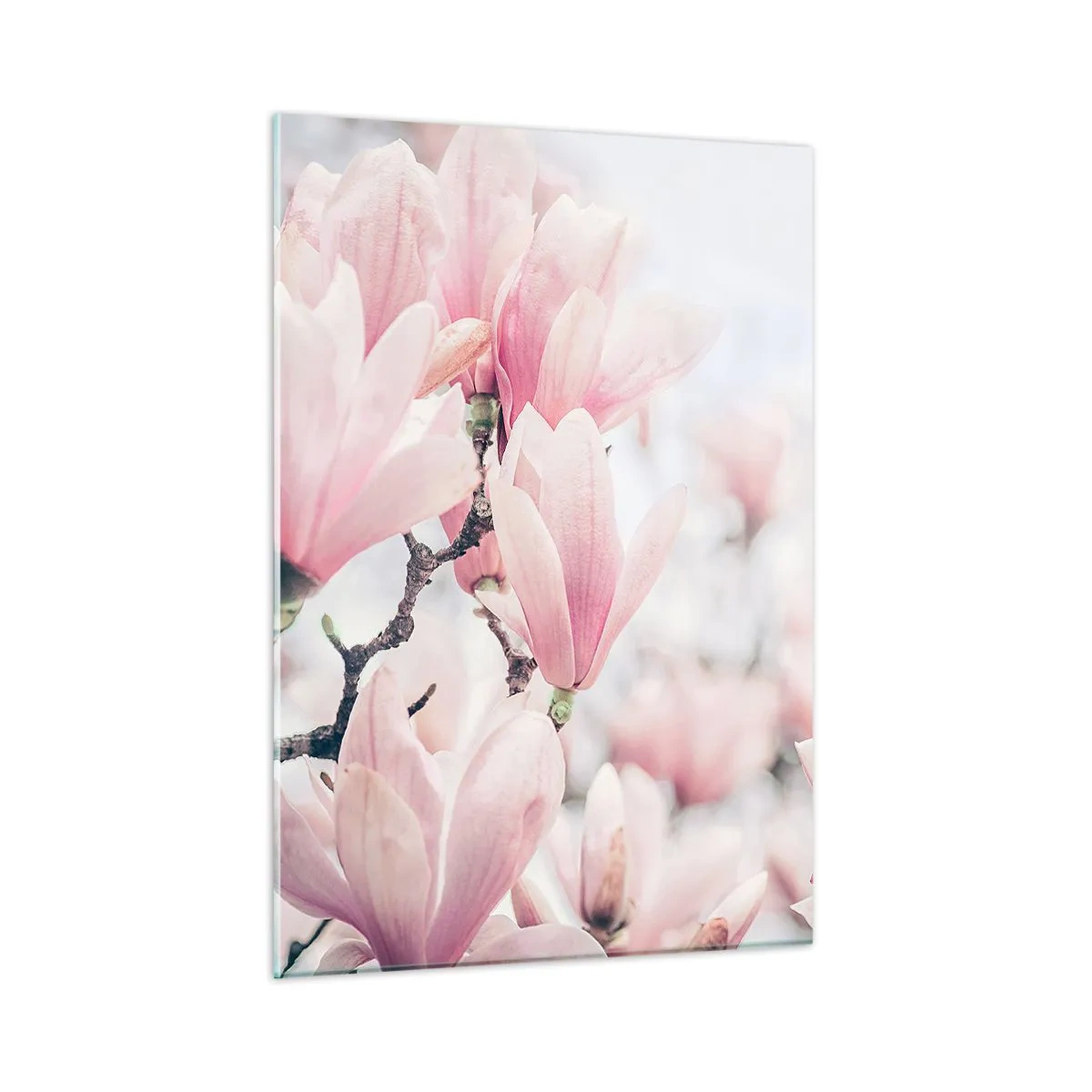 Obraz na szkle - Delikatne różowe magnolie na jasnym tle - 50x70cm - Ideał subtelności - Nowoczesna dekoracja ścienna do salonu, kuchni i sypialni ARTTOR