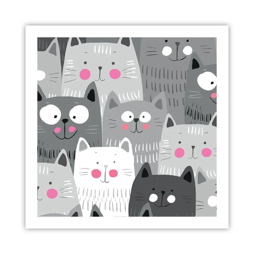 Plakat - Koci świat - 60x60 cm