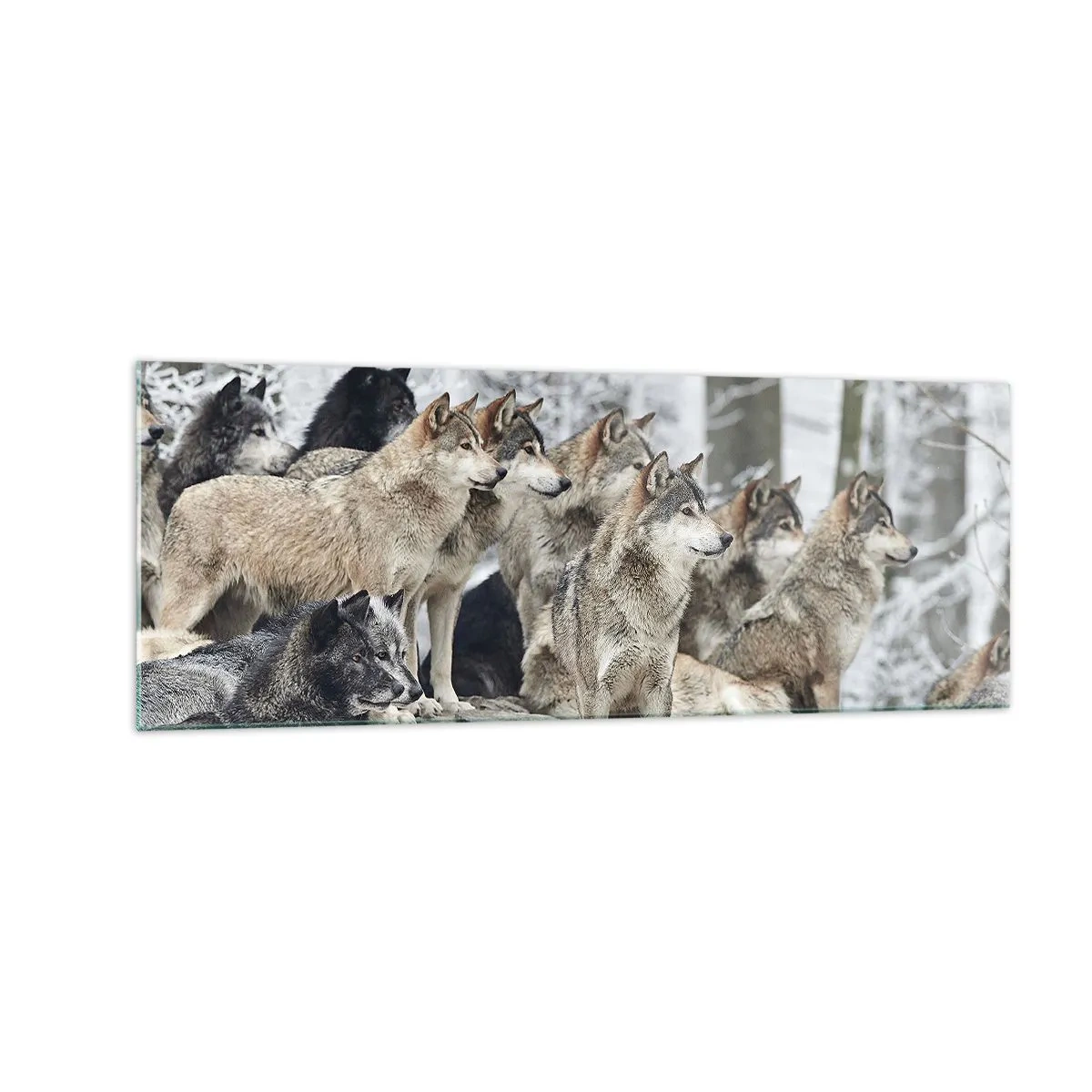 Obraz na szkle - Stado wilków w zimowym lesie - 140x50cm - Rodzina i przyjaciele - Nowoczesna dekoracja ścienna do salonu i sypialni ARTTOR