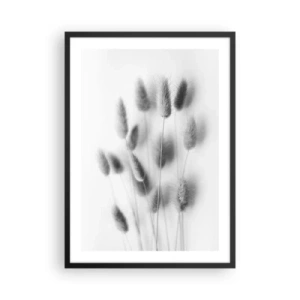 Plakat w czarnej ramie - Czarno-białe puszyste kłosy trawy - 50x70cm - Jej puszystość trawa - Nowoczesna dekoracja ścienna do salonu i sypialni ARTTOR