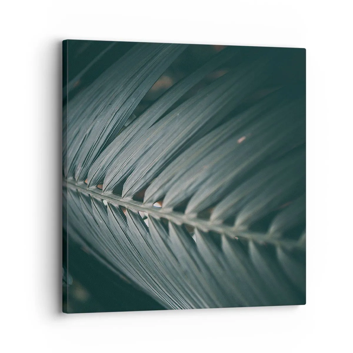 Obraz na płótnie - Precyzja natury - 30x30 cm