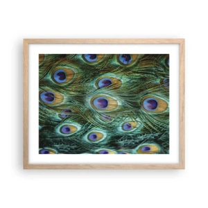 Plakat w ramie jasny dąb - Pawiookie spojrzenie - 50x40 cm